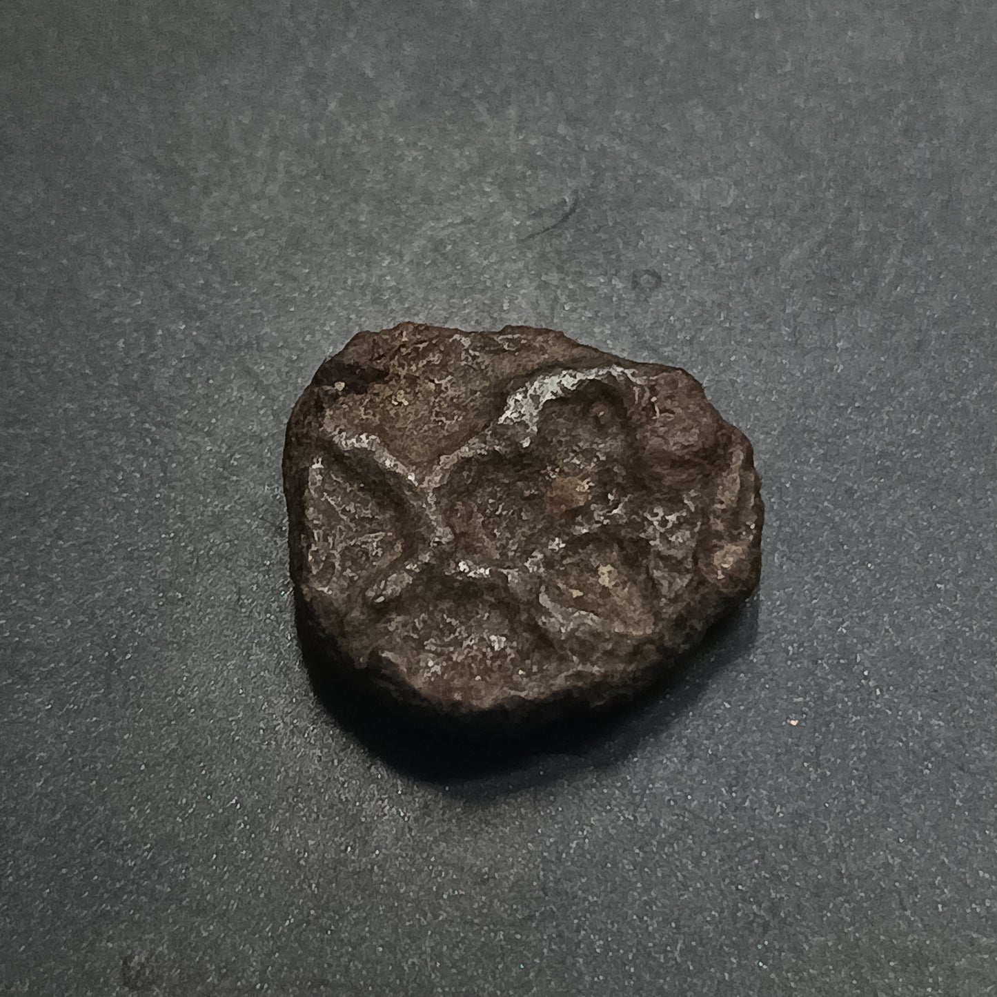 1/4 Karshapana (185 BC - 73 BC) - Sunga Dynasty - (Ref: AUC1480)