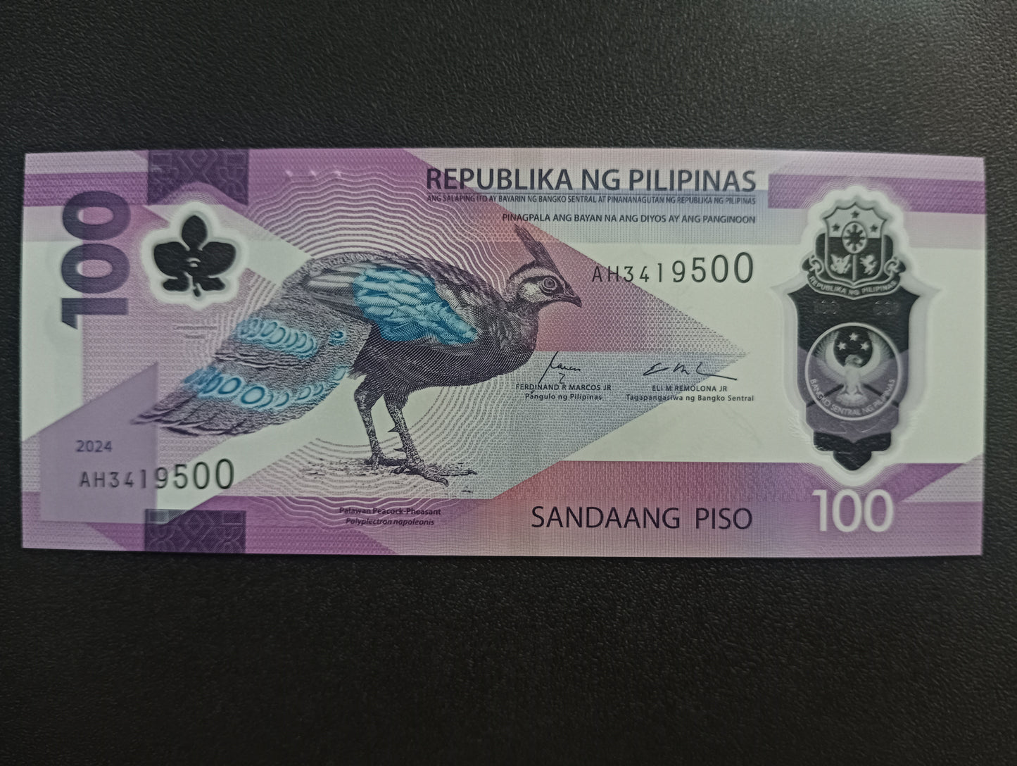 100 Piso 2024 UNC Polymer - Phillipines