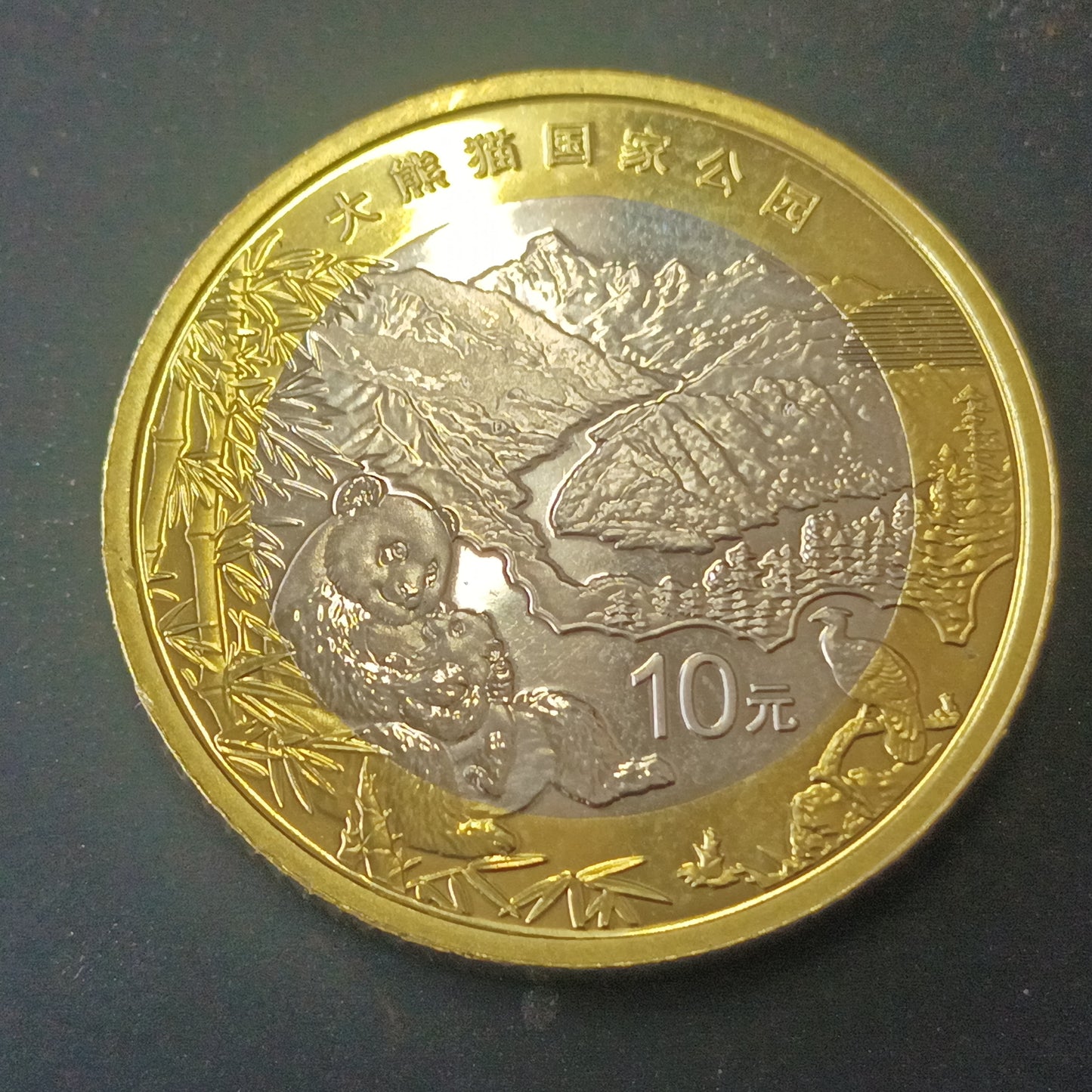 10 Yuan 2023 UNC (Giant Panda National Park) - China