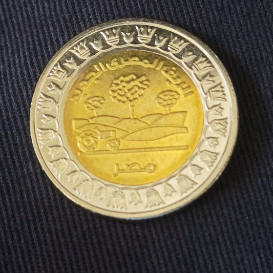 1 Pound 2019 AUNC (New Egyptian Countryside) - Egypt : Circulating Commemorative Coin