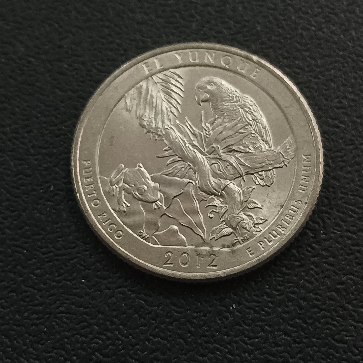1/4 Dollar (El Yunque National Forest) - Puerto Rico