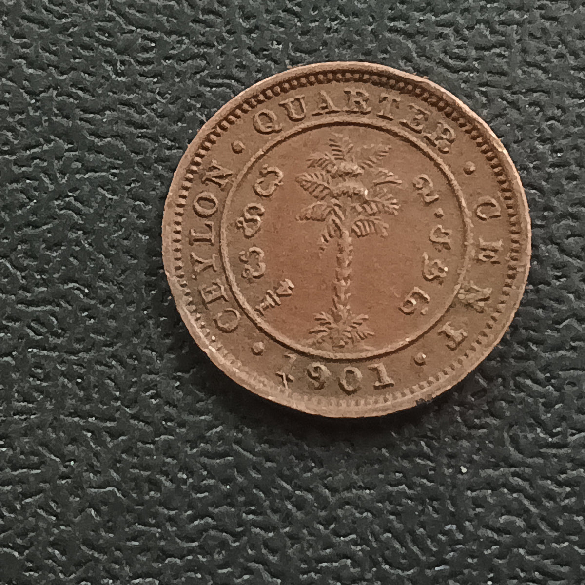 1/4 Cent 1901 Victoria XF Scarce - Ceylon  (Ref : AUC2013)