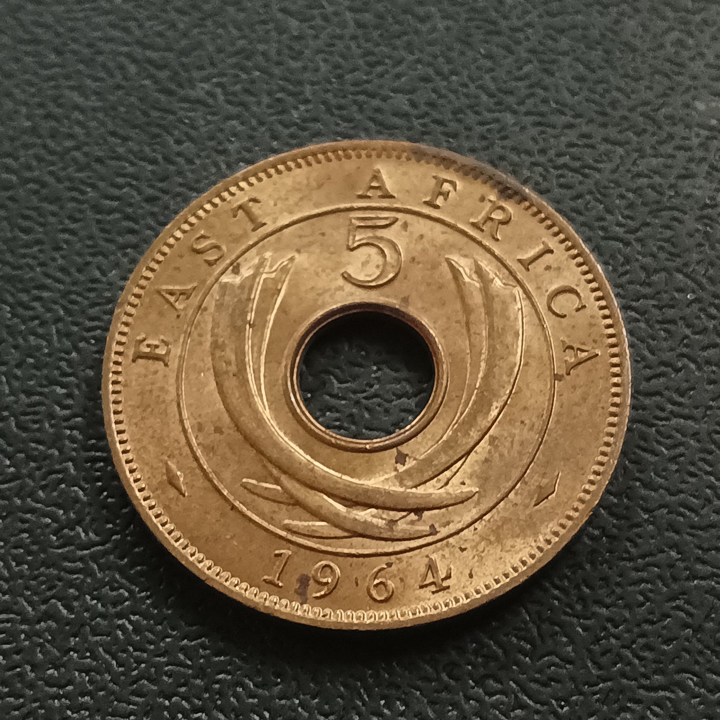 5 Cents 1964 XF- East Africa (Ref : AUC0956)