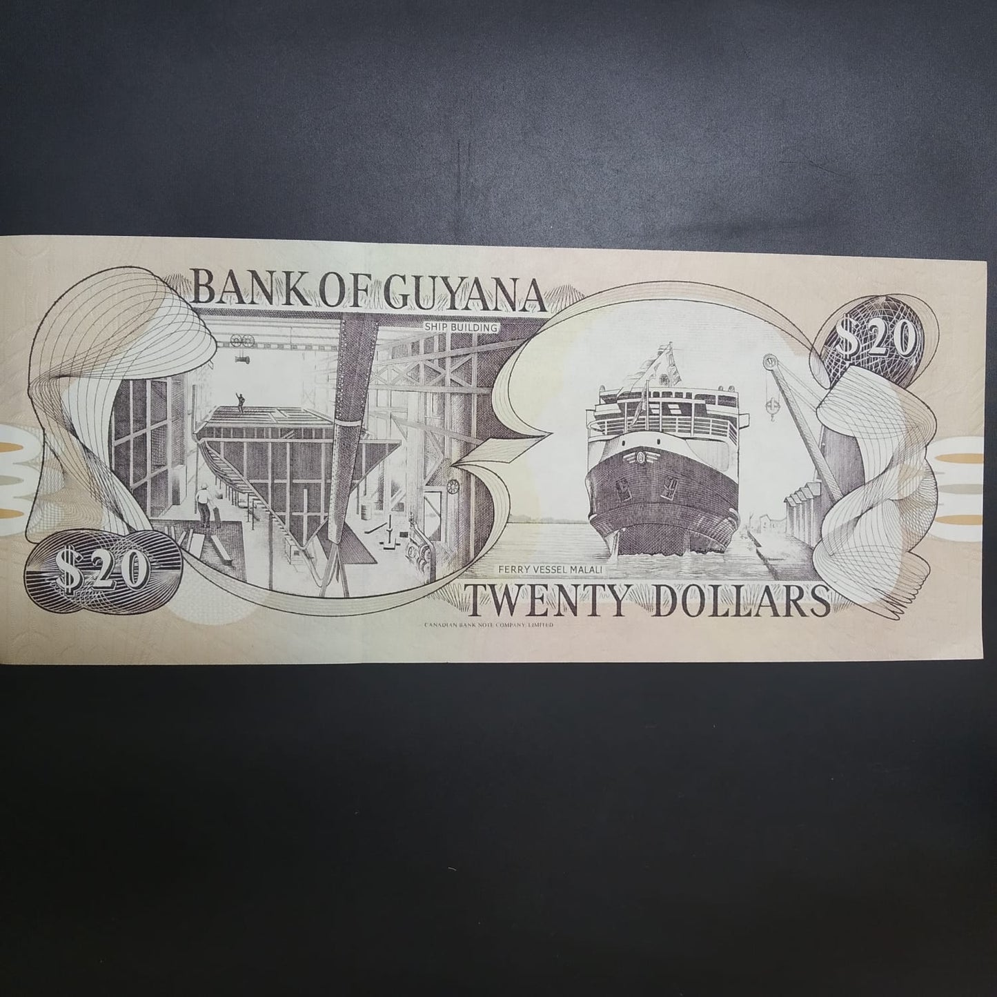 20 Dollars UNC - Guyana