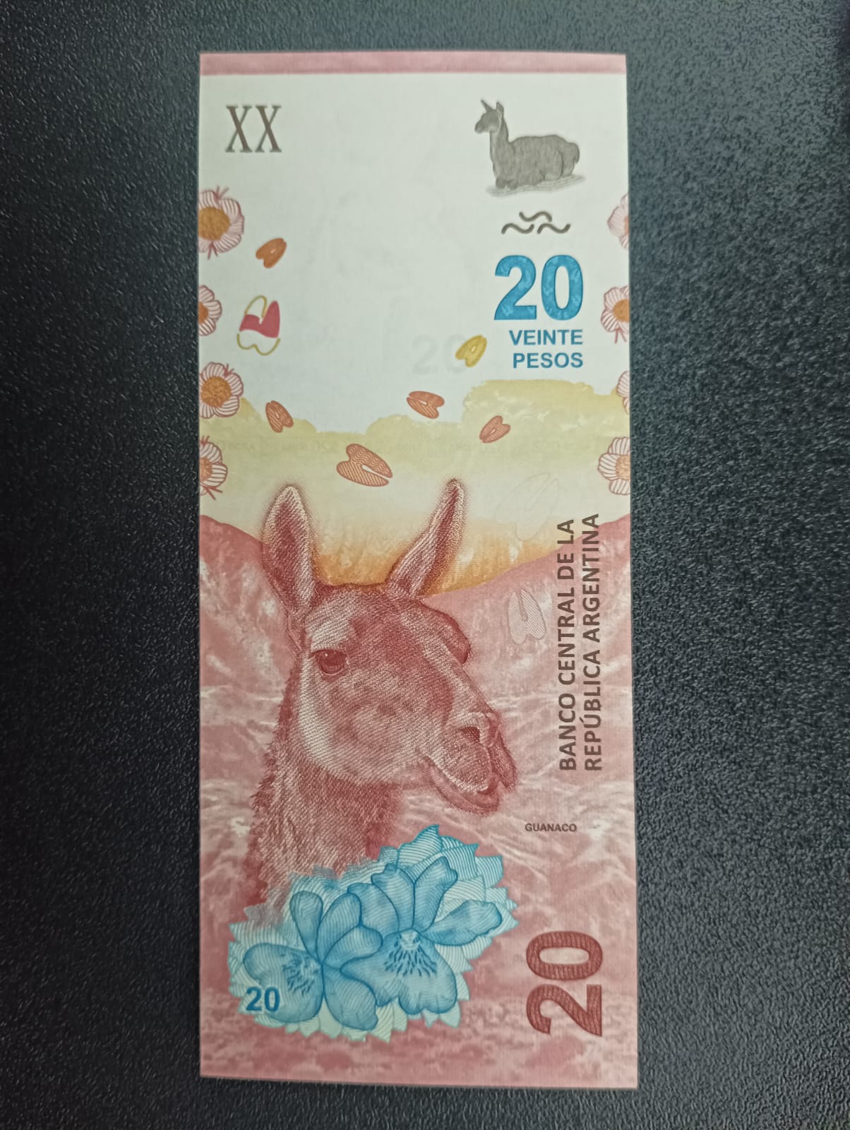 20 Pesos 2017 UNC - Argentina